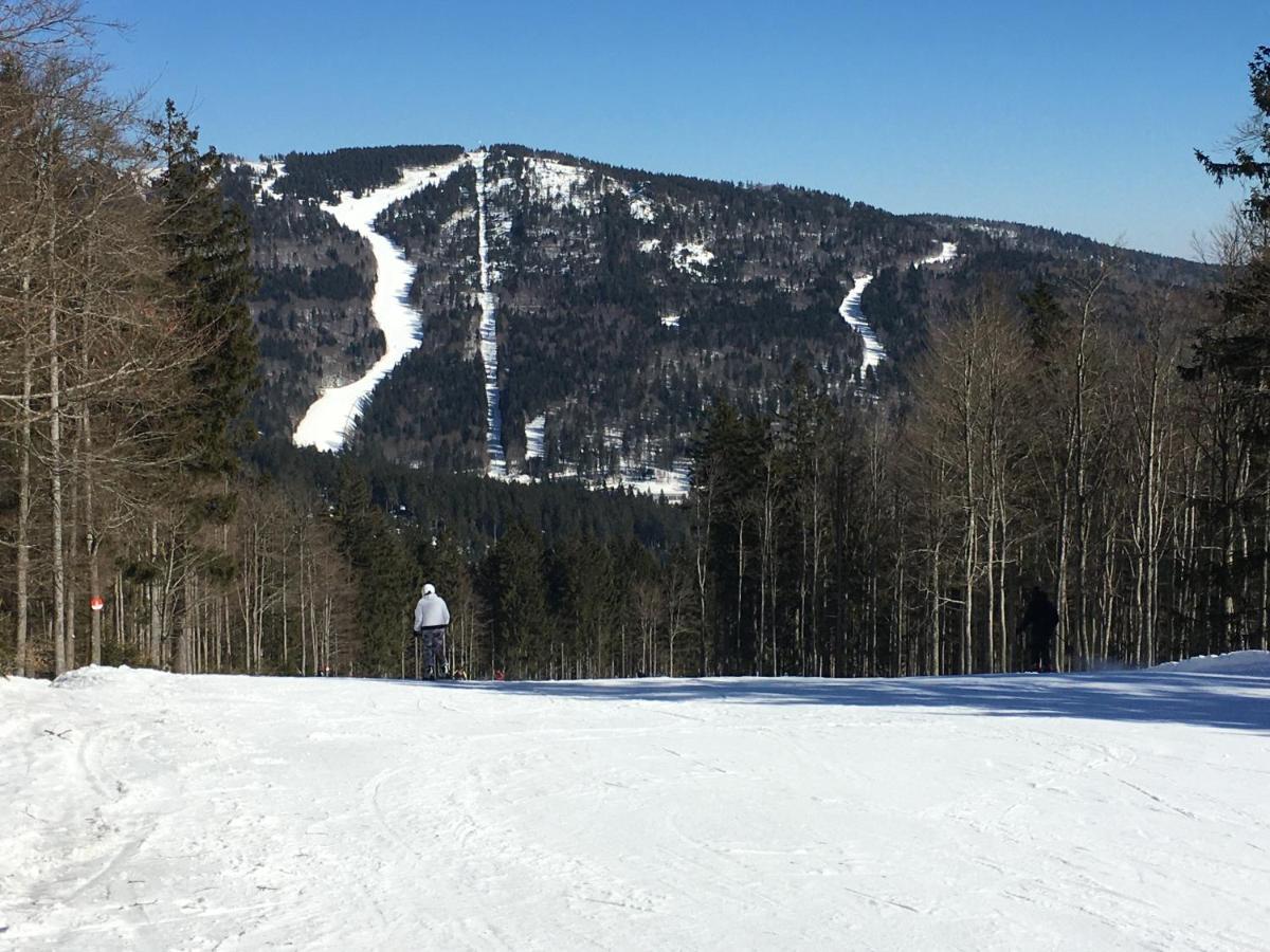 Apartments Lipno Serafin Lipno nad Vltavou Dış mekan fotoğraf